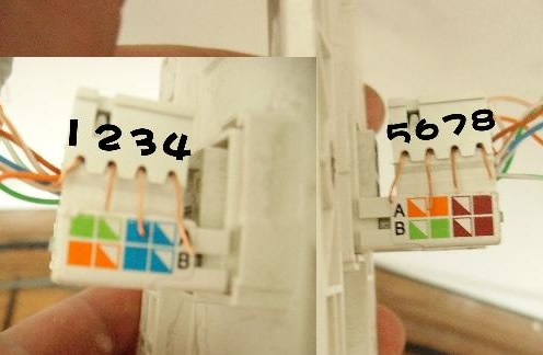 網(wǎng)絡(luò)插座如何接線 寬帶插座怎么接